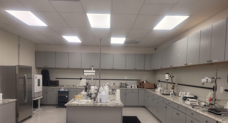 in house qcqa laboratory